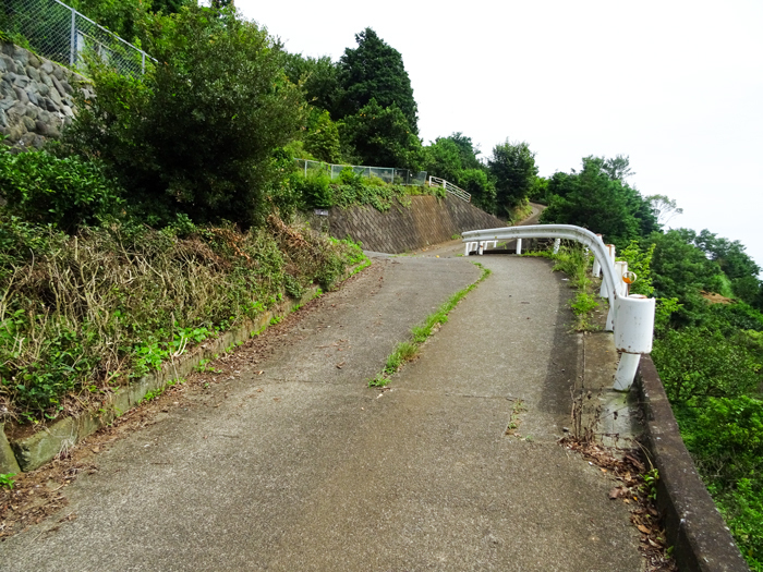 DSC02398.jpg