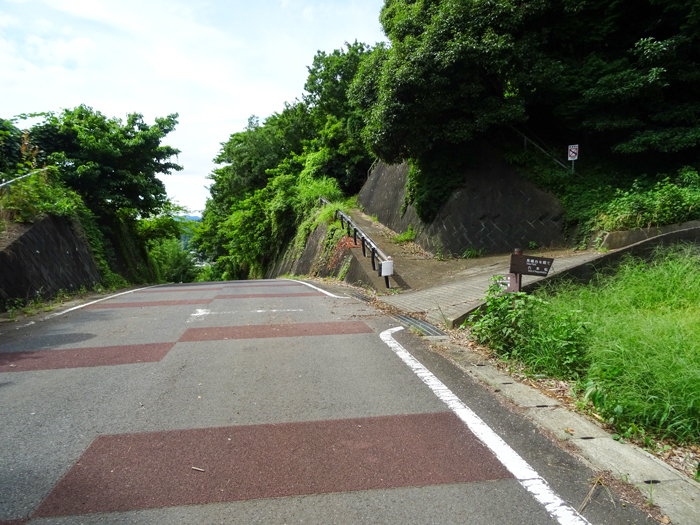 DSC02412.jpg