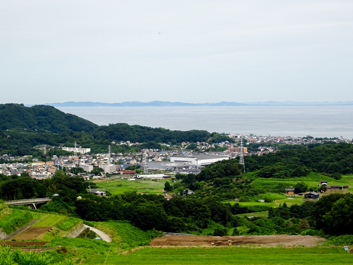 DSC02426.jpg