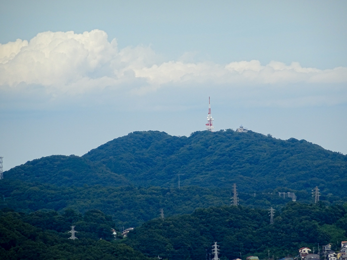 DSC02429.jpg