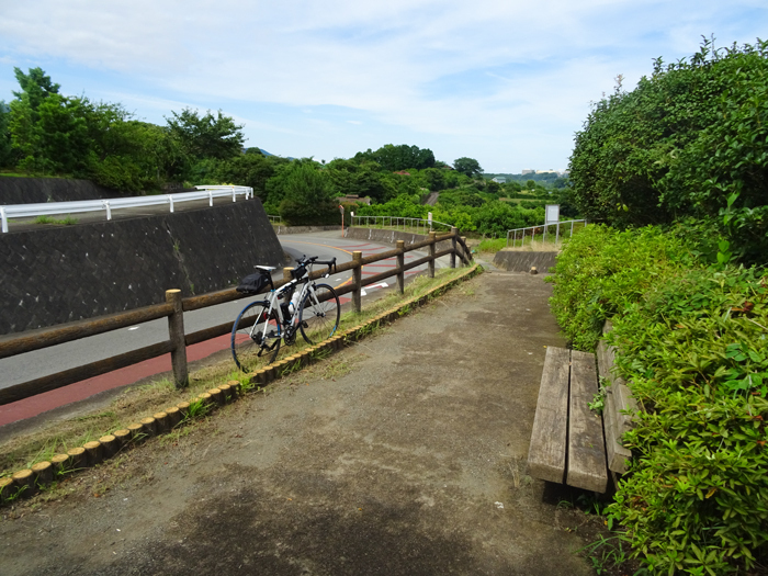 DSC02449.jpg
