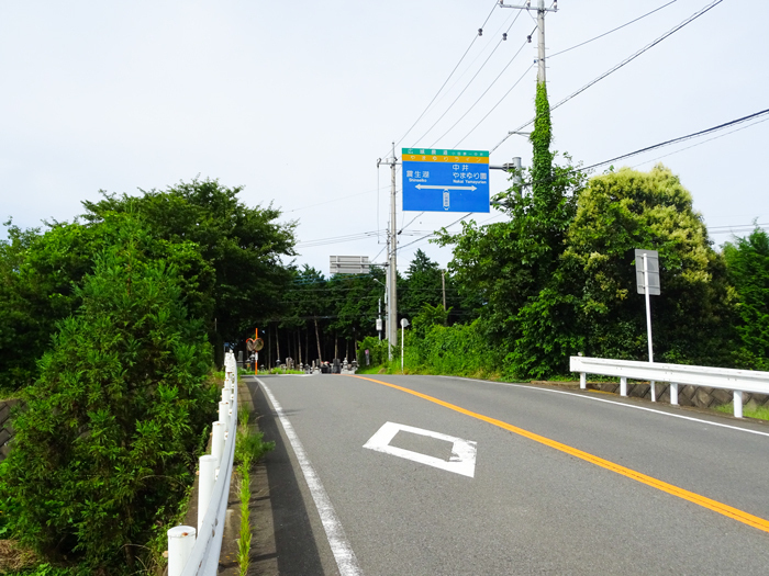 DSC02461.jpg