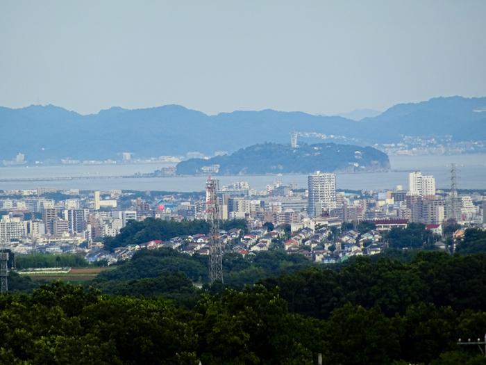 DSC02486.jpg