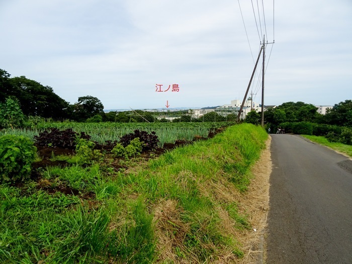 DSC02489.jpg