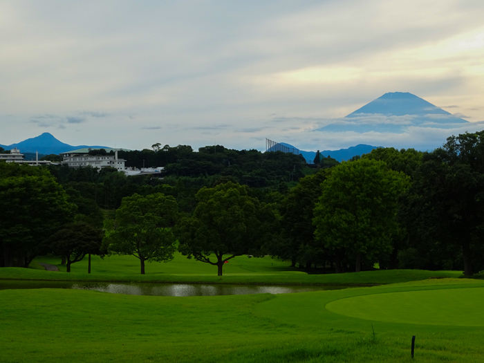 DSC02514.jpg