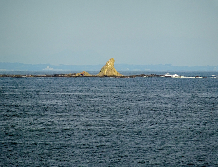 DSC02534.jpg