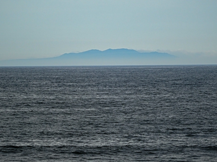 DSC02542.jpg