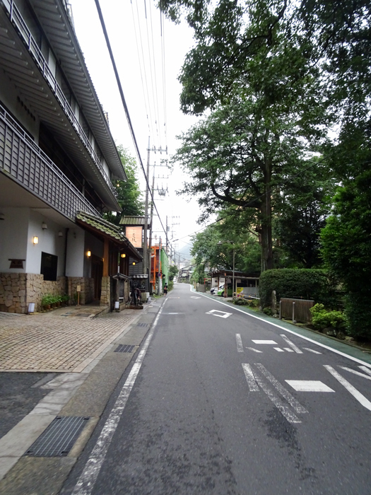 DSC02579.jpg