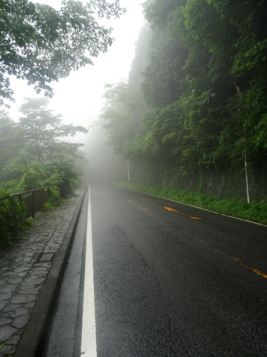 DSC02607.jpg