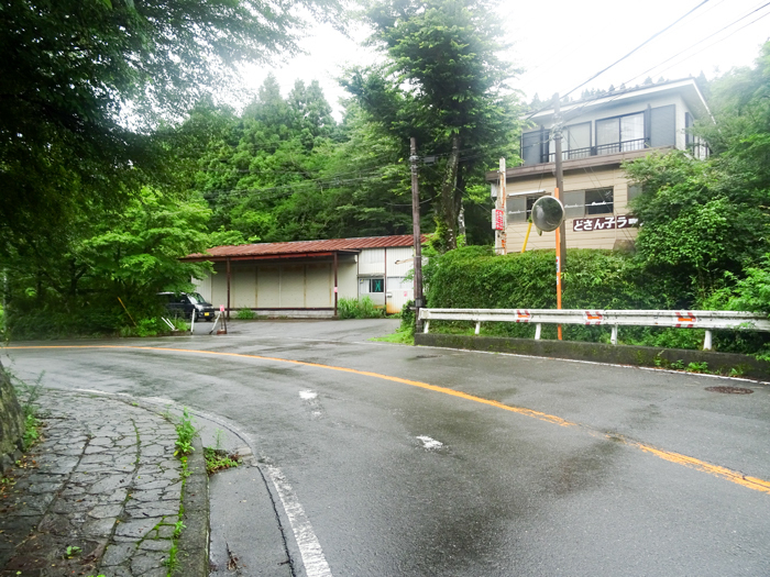 DSC02650.jpg