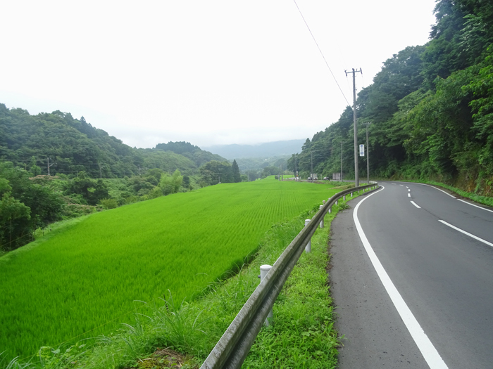 DSC02819.jpg