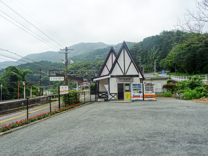 DSC02868.jpg
