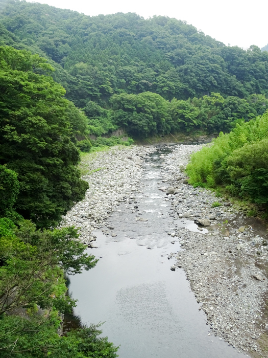 DSC02874.jpg