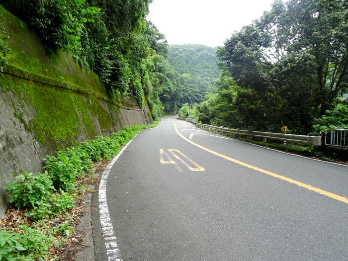 DSC02878.jpg