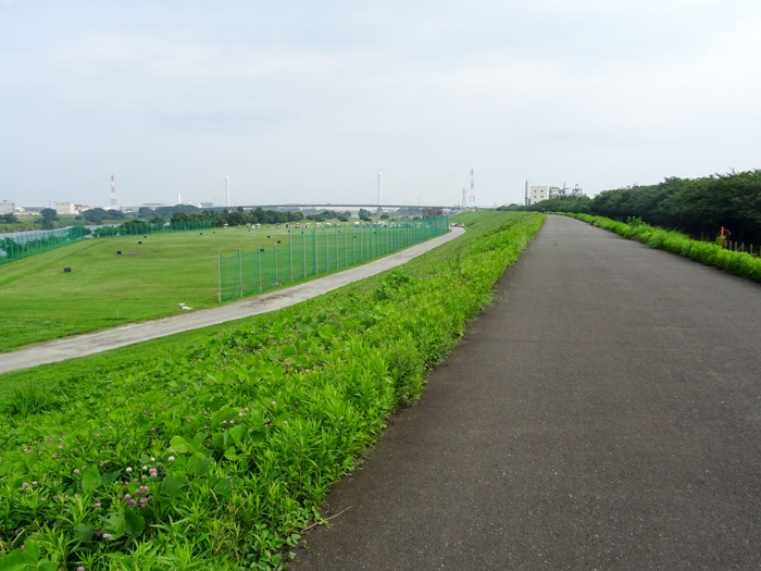 DSC02907.jpg