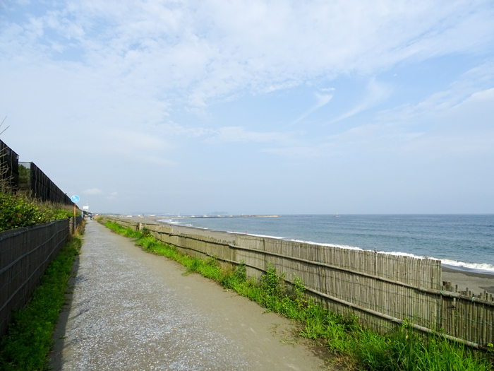 DSC02930.jpg