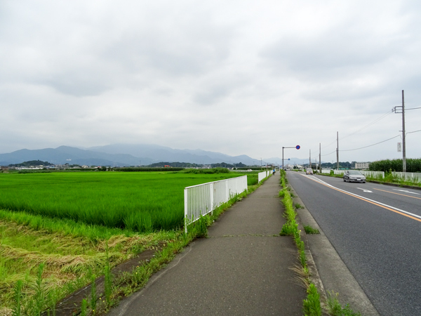 DSC02939.jpg