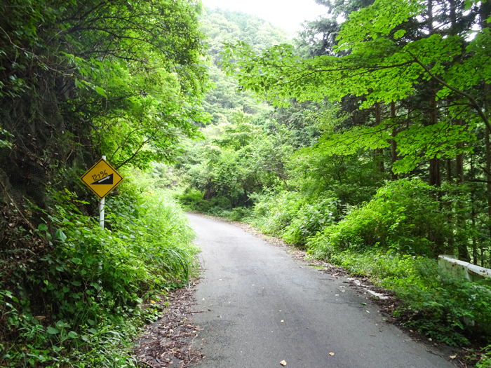 DSC02973.jpg