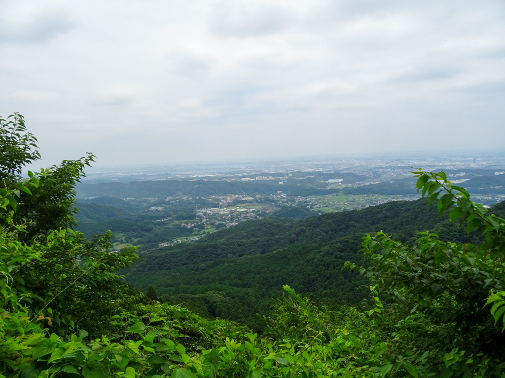DSC02975-1.jpg