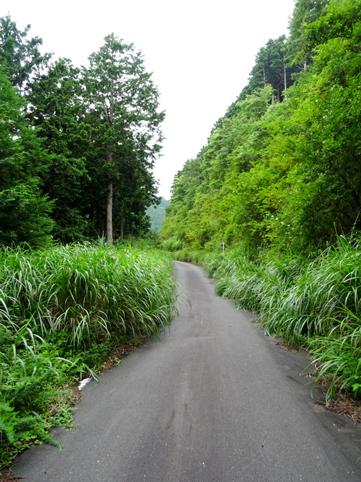 DSC02989.jpg