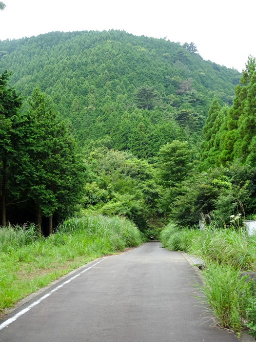 DSC02990.jpg