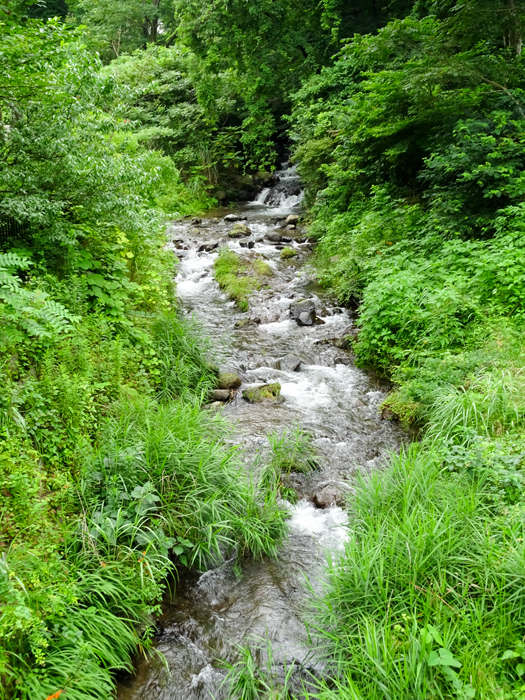 DSC03012.jpg
