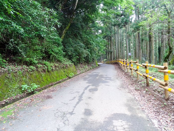 DSC03020.jpg