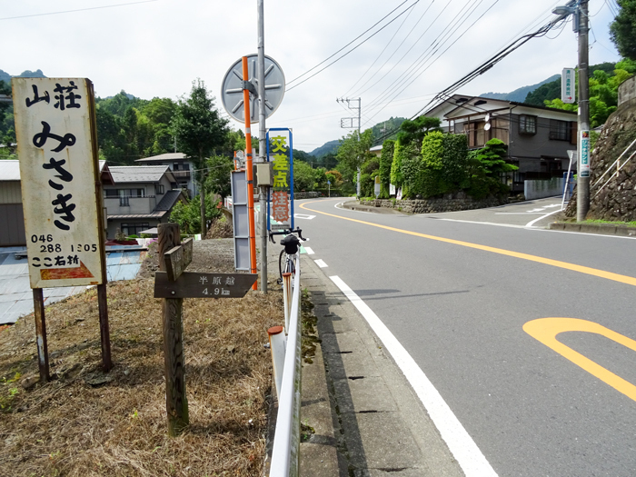 DSC03059.jpg