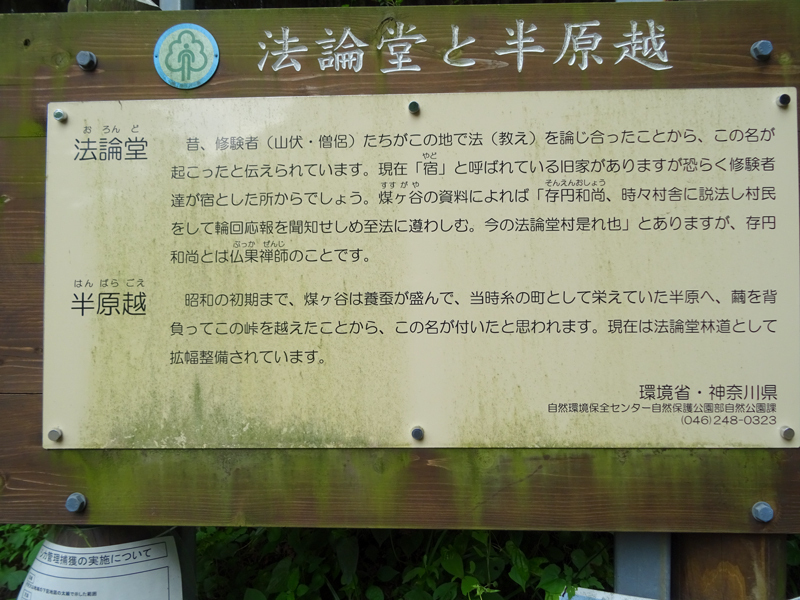 DSC03095.jpg