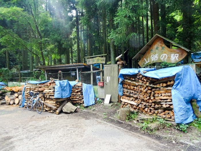 DSC03103.jpg