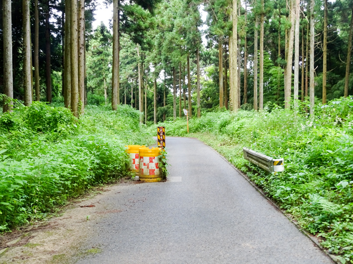 DSC03109.jpg