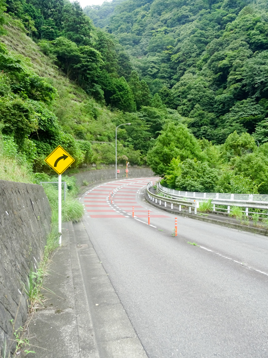 DSC03137.jpg