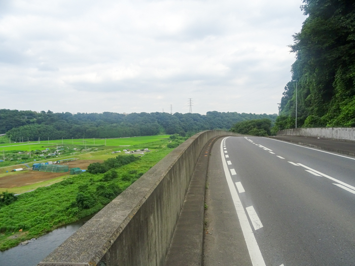 DSC03147.jpg