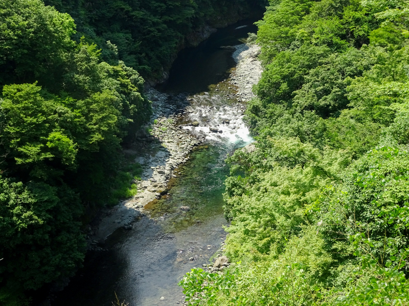 DSC03573.jpg
