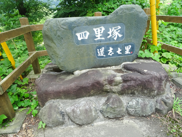 DSC03615.jpg