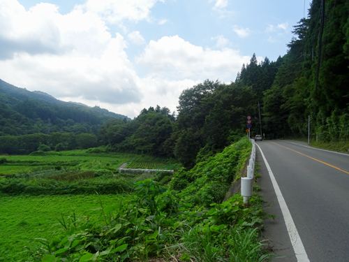 DSC03628.jpg