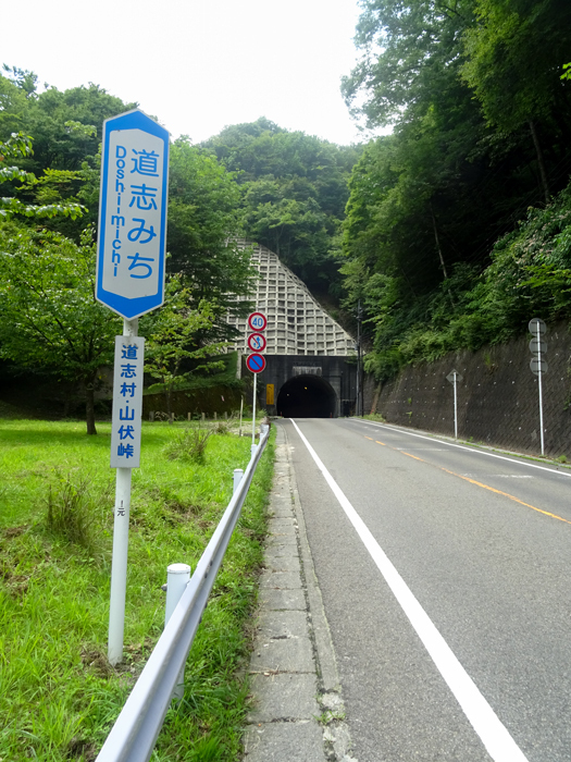 DSC03668.jpg