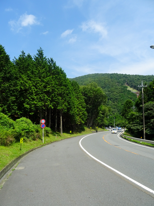DSC03704.jpg