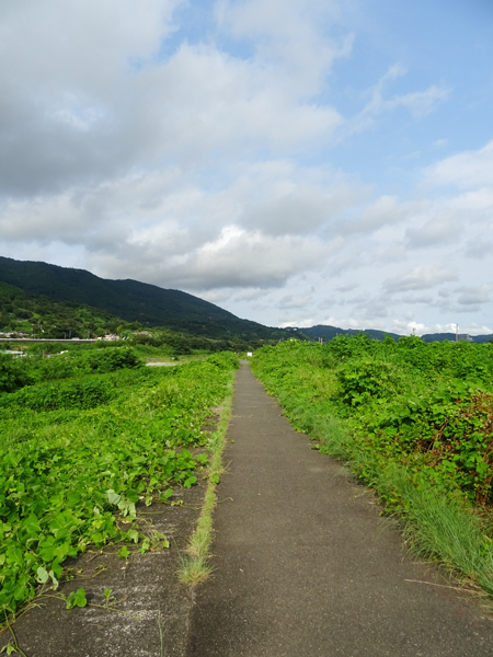 DSC03733.jpg