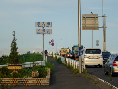 DSC03755.jpg