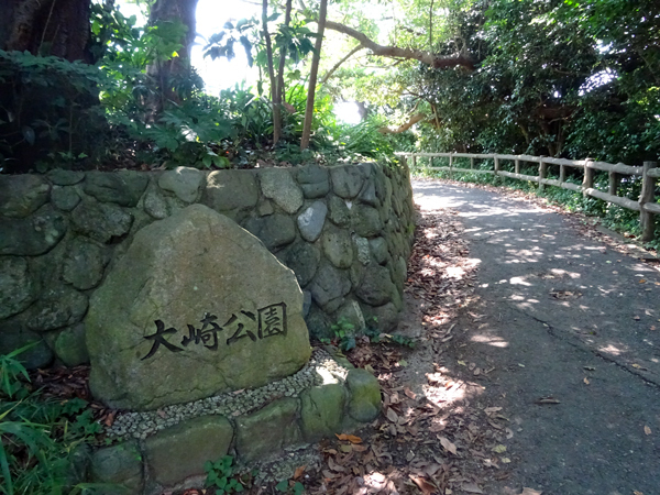 DSC03929.jpg