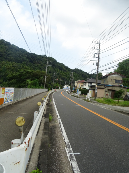 DSC03950.jpg