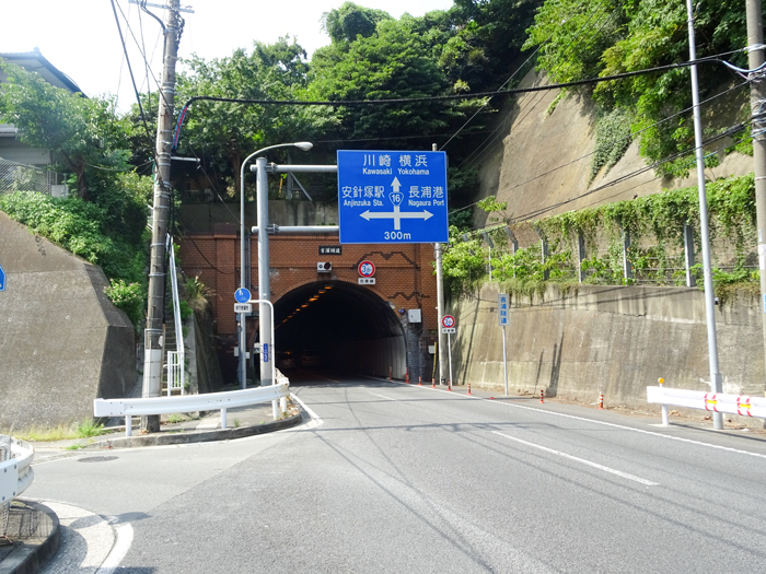 DSC03980.jpg