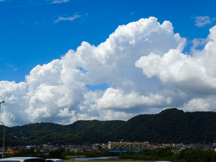DSC04245.jpg