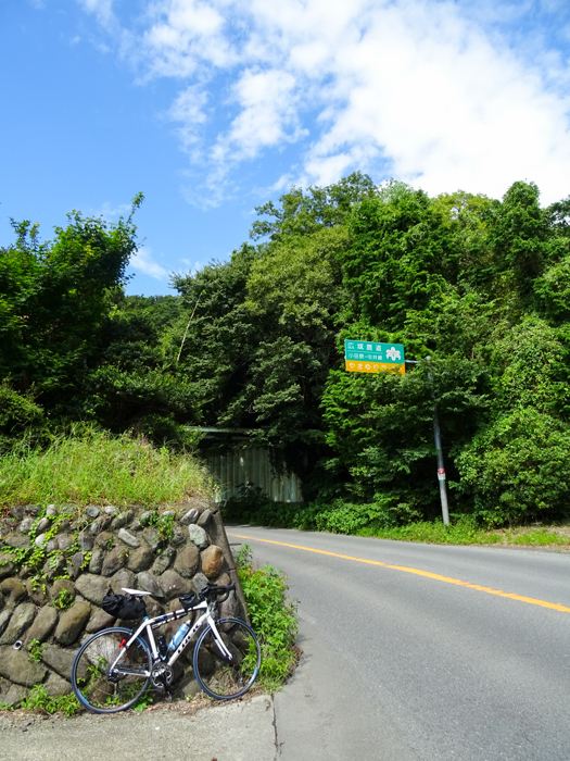 DSC04274.jpg