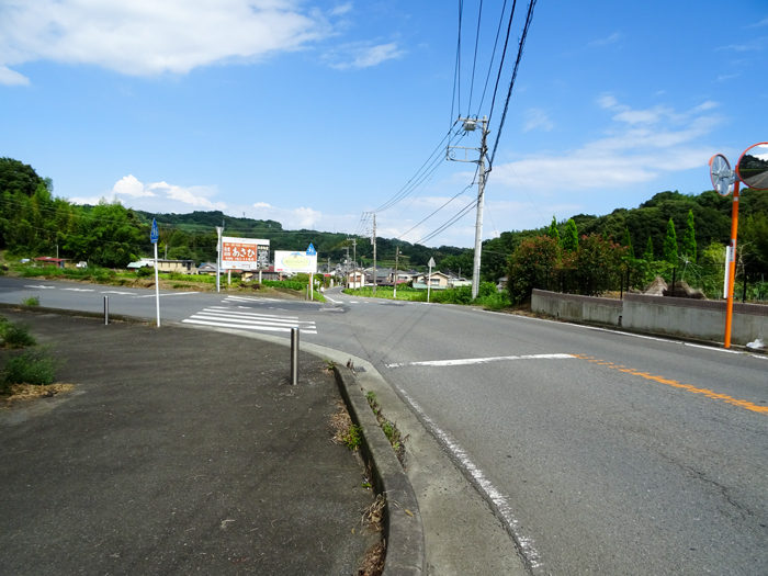 DSC04318.jpg
