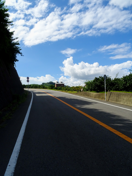 DSC04337.jpg