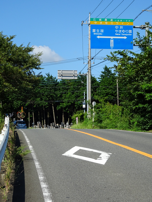 DSC04366.jpg
