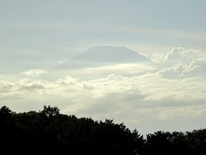 DSC04426.jpg