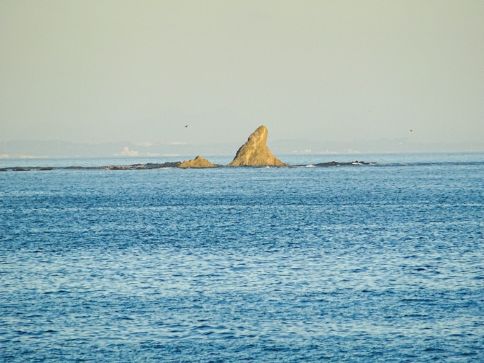 DSC04466.jpg